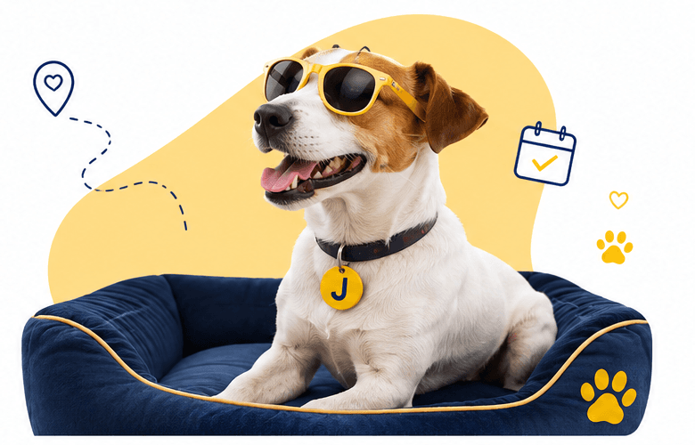 Jack, la mascota de JackCity, descansando con lentes de sol en su cama